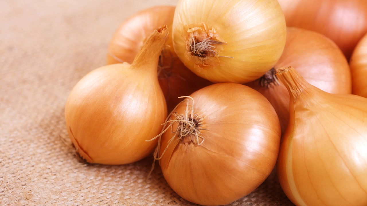 Dicas Práticas para Plantar Cebola em Casa e Garantir uma Colheita Farta