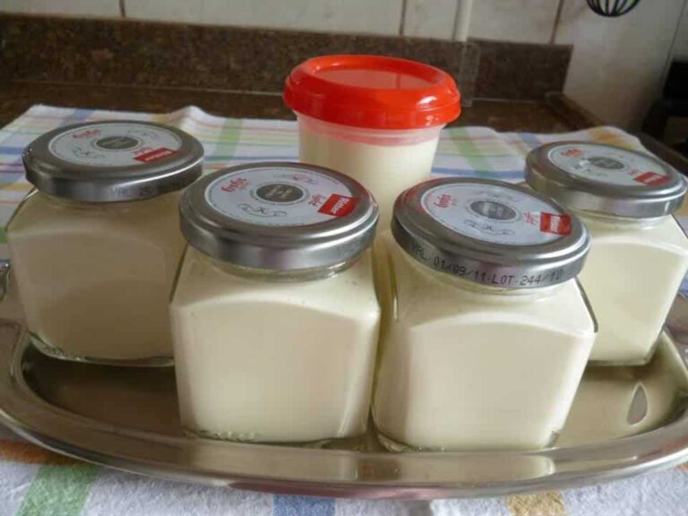 Requeijão Caseiro em 15 Minutos: Receita com Apenas 5 Ingredientes