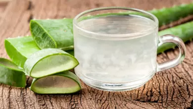Receita de Suco de Babosa para Emagrecer com Saúde